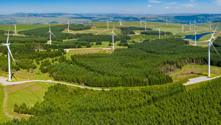 Green groups have welcomed the commitment, but want more detailed outlines of how decarbonisation will be delivered